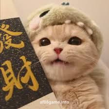 User images (3)